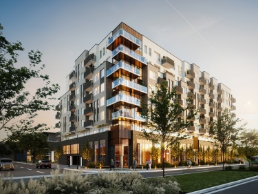 Le Danaus Condominiums - Condos neufs  Sainte-Catherine en inscription avec units modles en occupation en construction avec stationnement intrieur: 1 chambre, 600 001 $ - 700 000 $