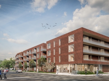 Le Rachel Condominiums - Condos neufs dans Rosemont en inscription en occupation en construction avec stationnement extrieur avec stationnement intrieur avec Piscine: 2 chambres, < 300 000 $